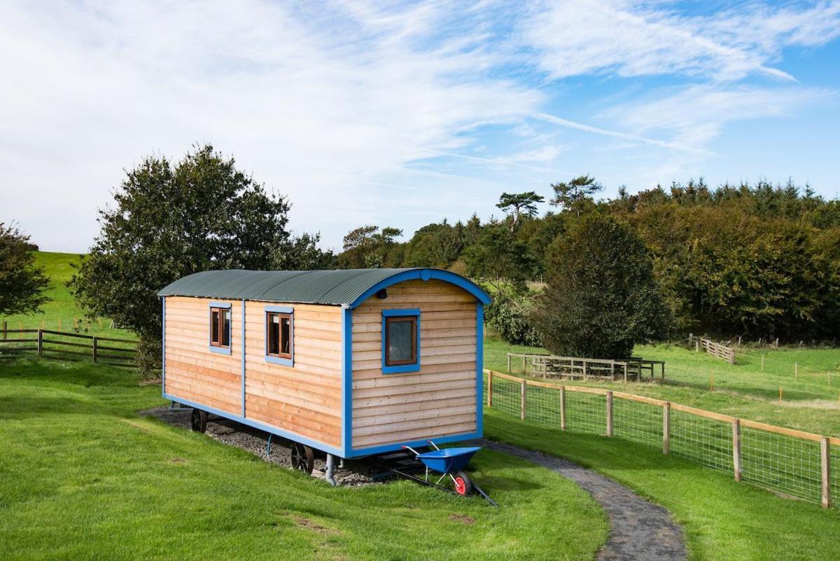 Cow Parsley Shepherd'S Hut Berwick Upon Tweed Luaran gambar