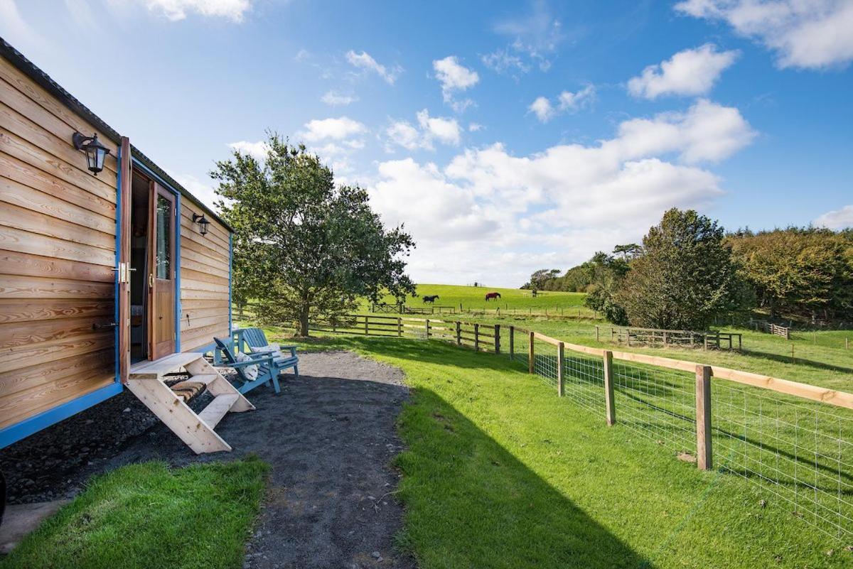 Cow Parsley Shepherd'S Hut Berwick Upon Tweed Luaran gambar