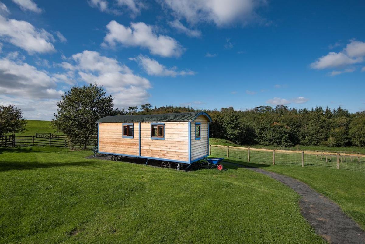 Cow Parsley Shepherd'S Hut Berwick Upon Tweed Luaran gambar