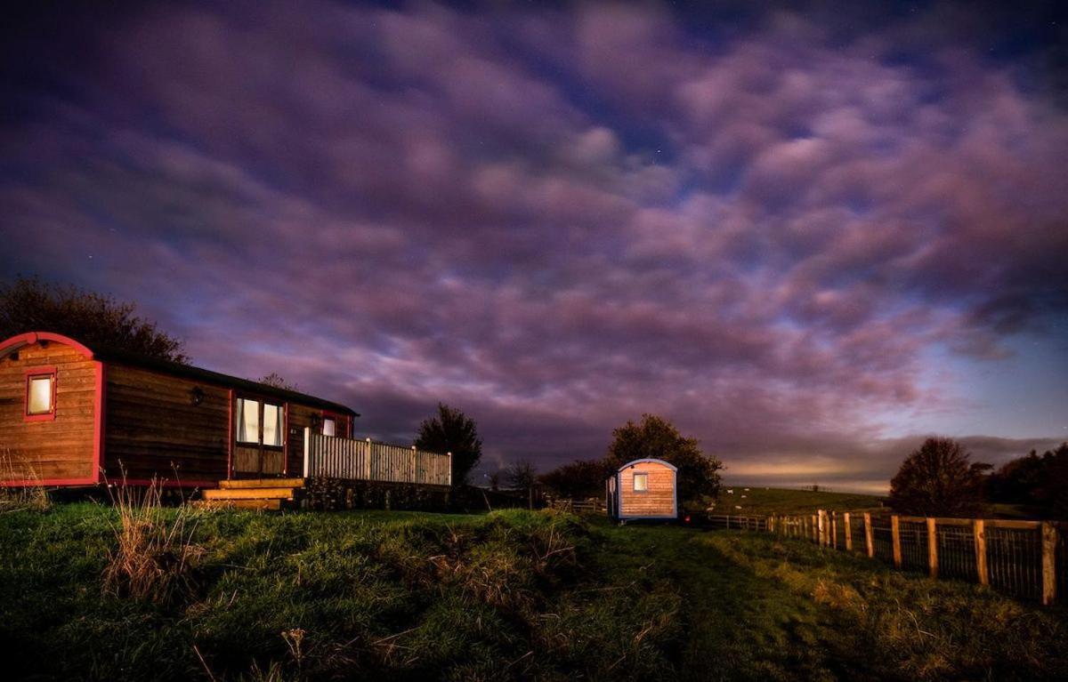 Cow Parsley Shepherd'S Hut Berwick Upon Tweed Luaran gambar